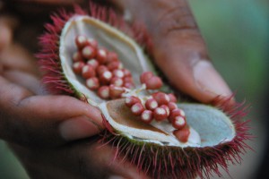 Getting Spicy in Zanzibar