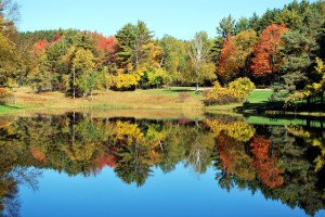 Letchworth Park Trout Pond Lake